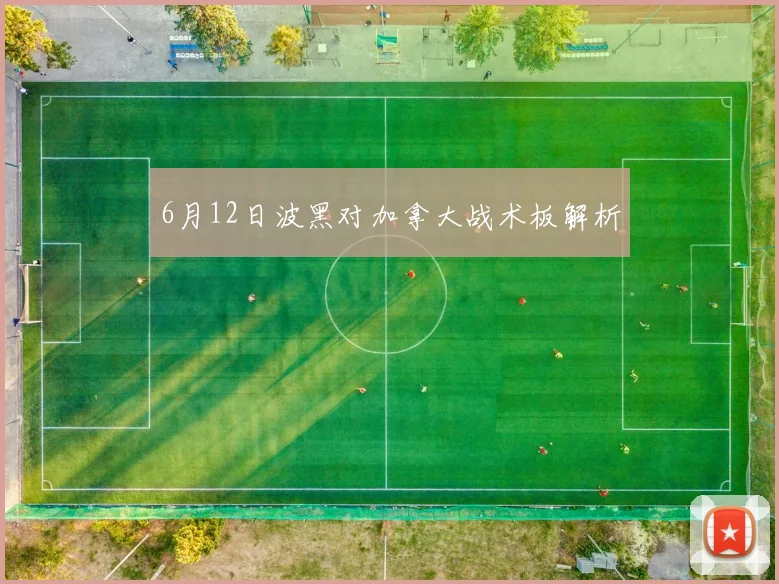 6月12日波黑对加拿大战术板解析
