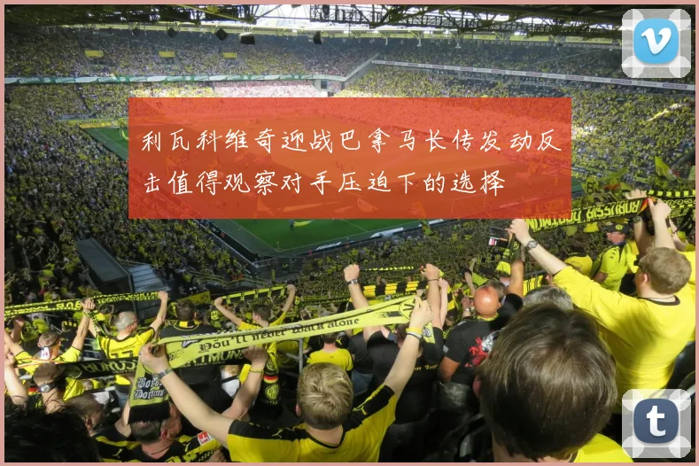 利瓦科维奇迎战巴拿马长传发动反击值得观察对手压迫下的选择