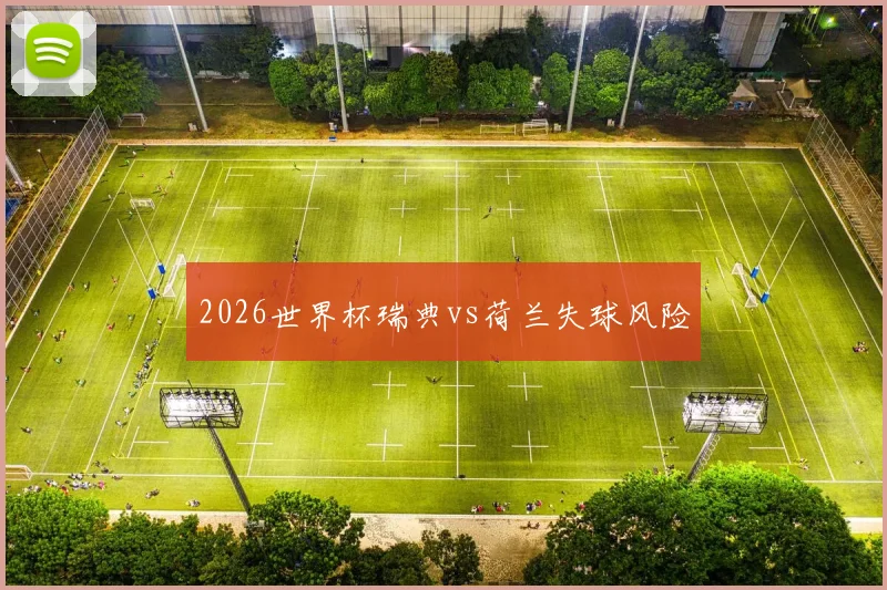 2026世界杯瑞典vs荷兰失球风险