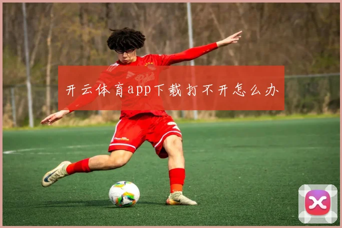 开云体育app下载打不开怎么办