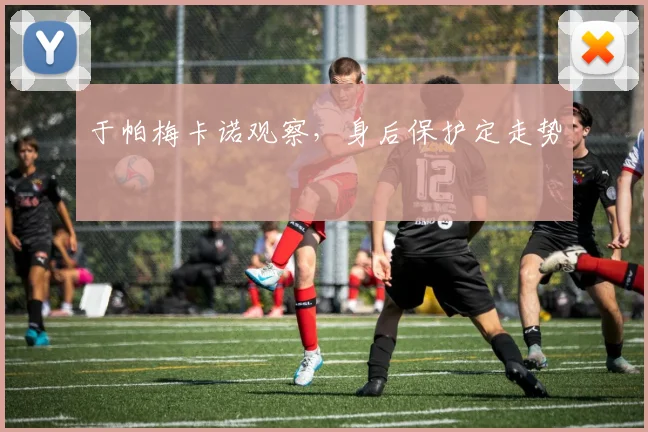 于帕梅卡诺观察，身后保护定走势