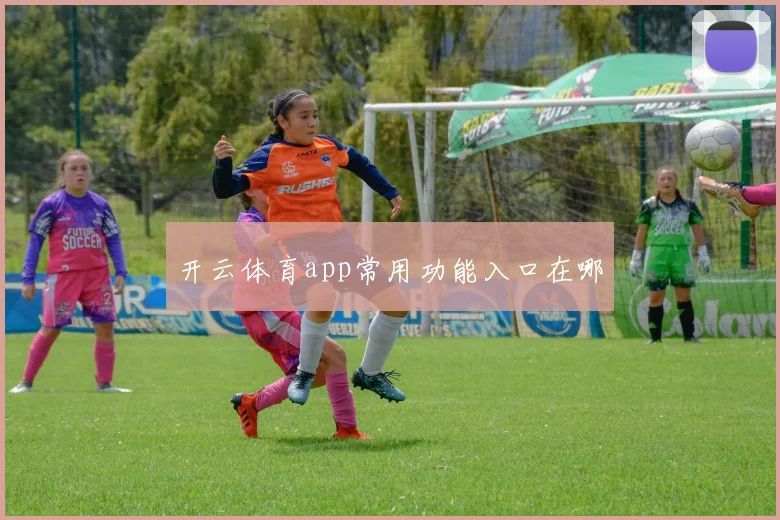 开云体育app常用功能入口在哪
