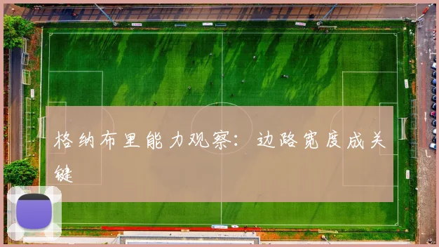 格纳布里能力观察：边路宽度成关键